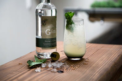 Cocktail opskrifter med Gin